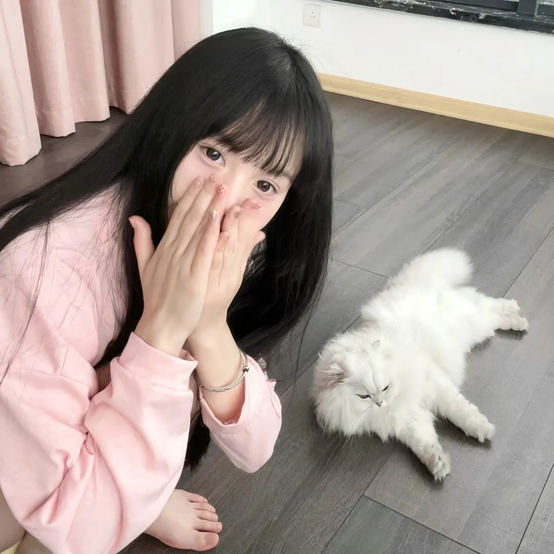 迷途人生在线观看封面